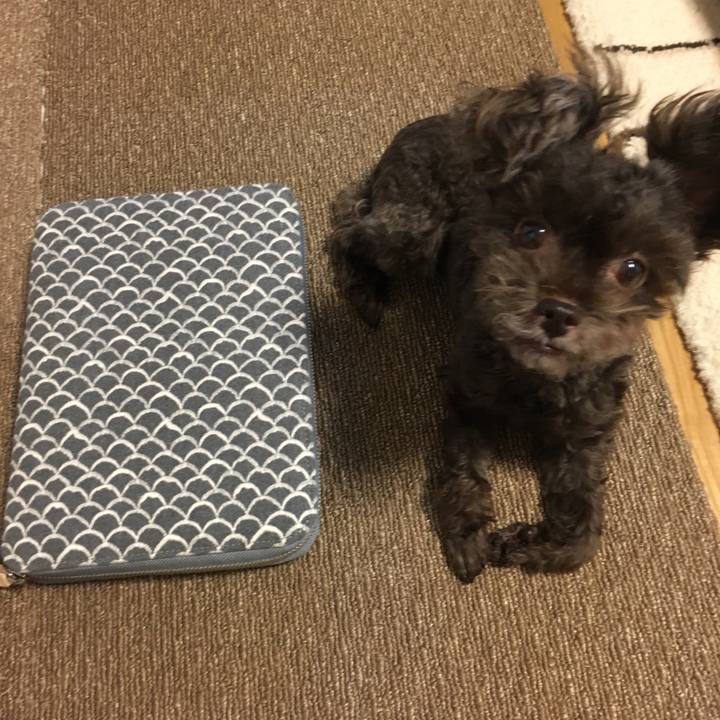 F1721d2f 382c 4c26 88b6 6661a4130dcd