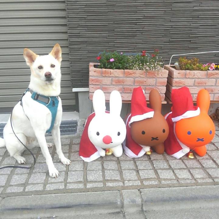 F172d48e 490b 40fd a9cb e289da6cb944