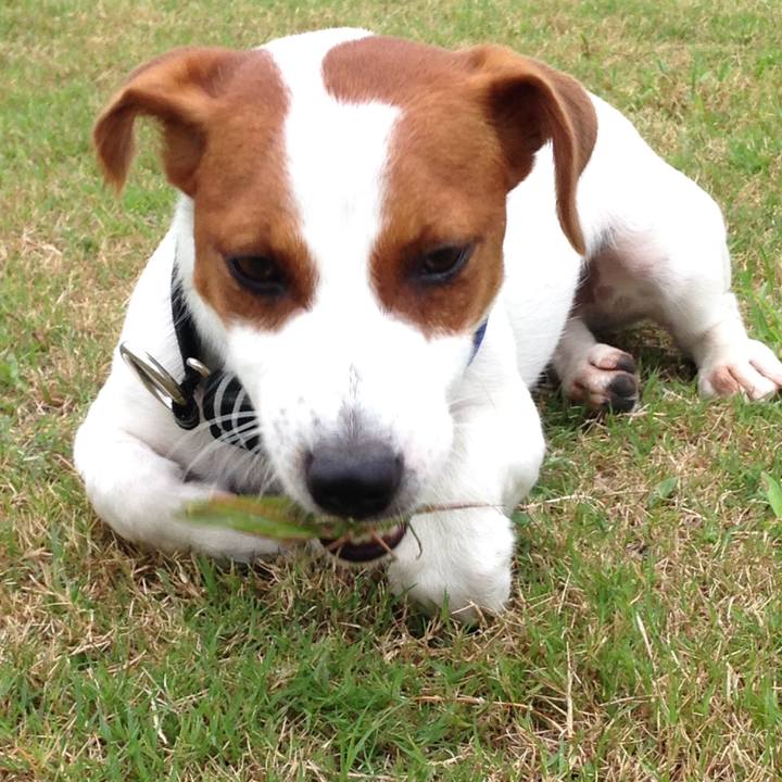 F1731c7f 2044 493a 8259 1d56a83e2381