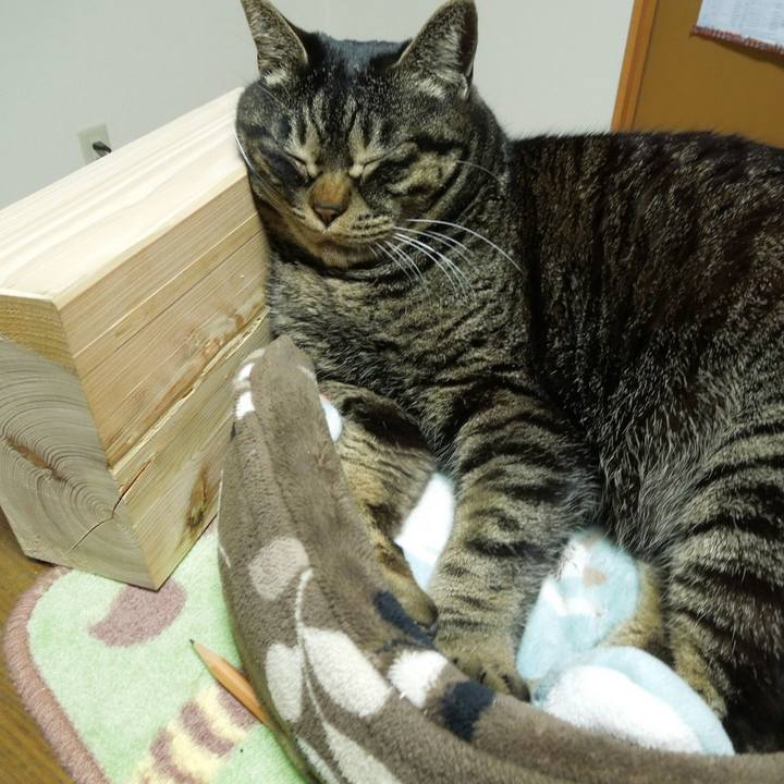 F17325ab 5657 4739 98ae d683eec44485