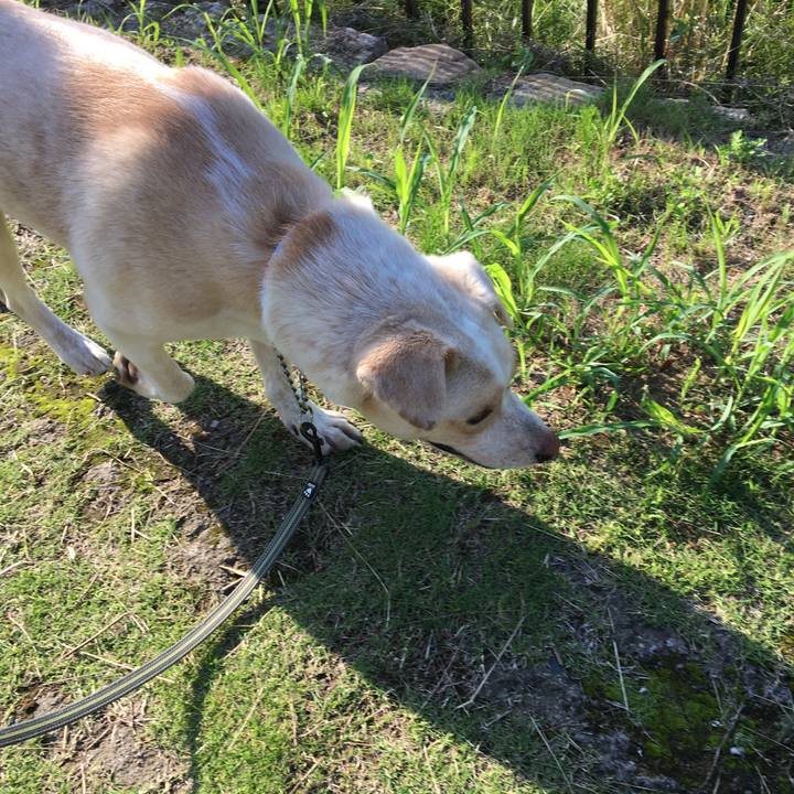 F173a274 d0fd 4a28 b458 31a62a933626