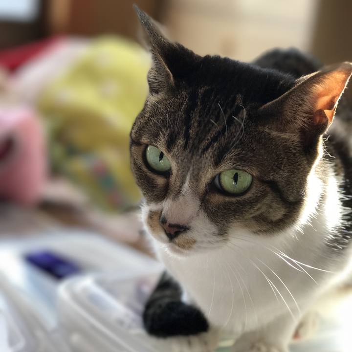 F173b0e2 0730 4311 b823 09248995b96c