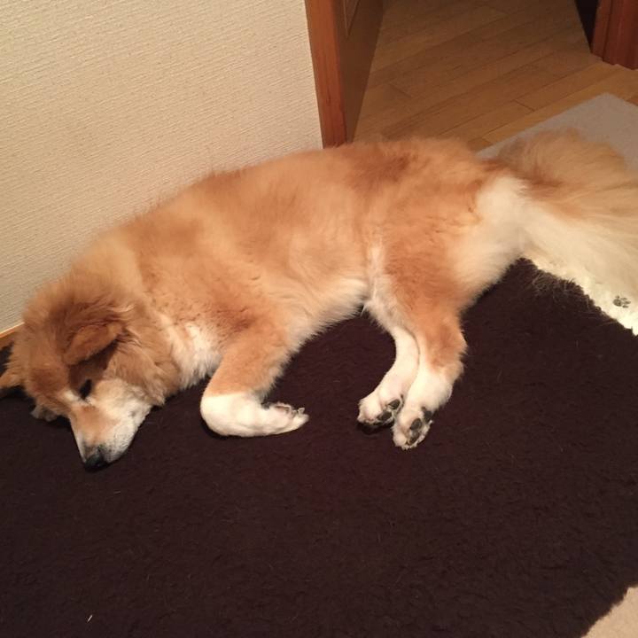 F173ee06 da96 4a22 bea8 769f6415ace2