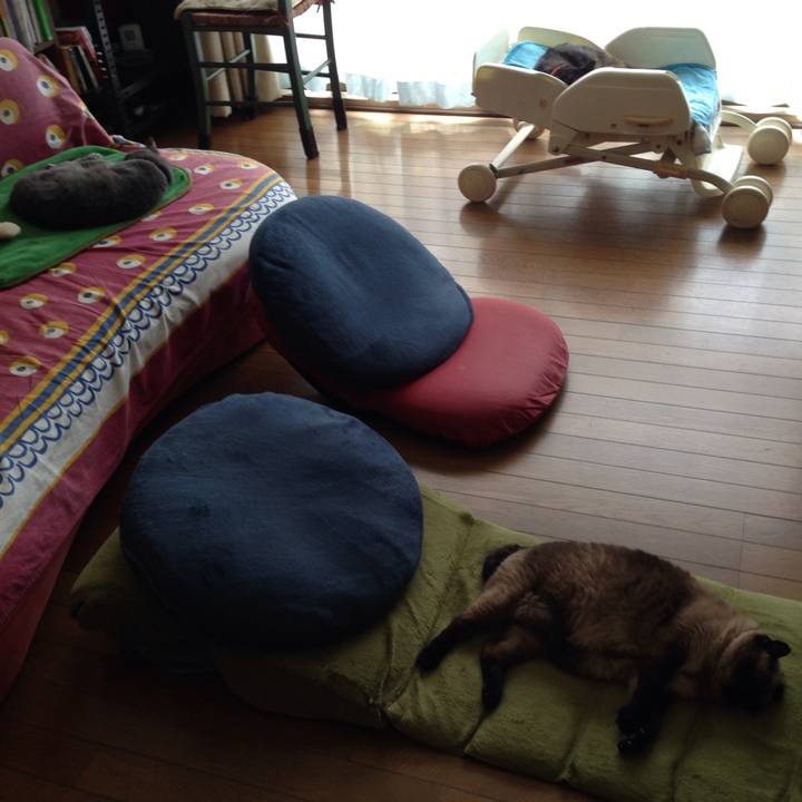 F17453d2 f36e 4035 81cf d896ff165b74