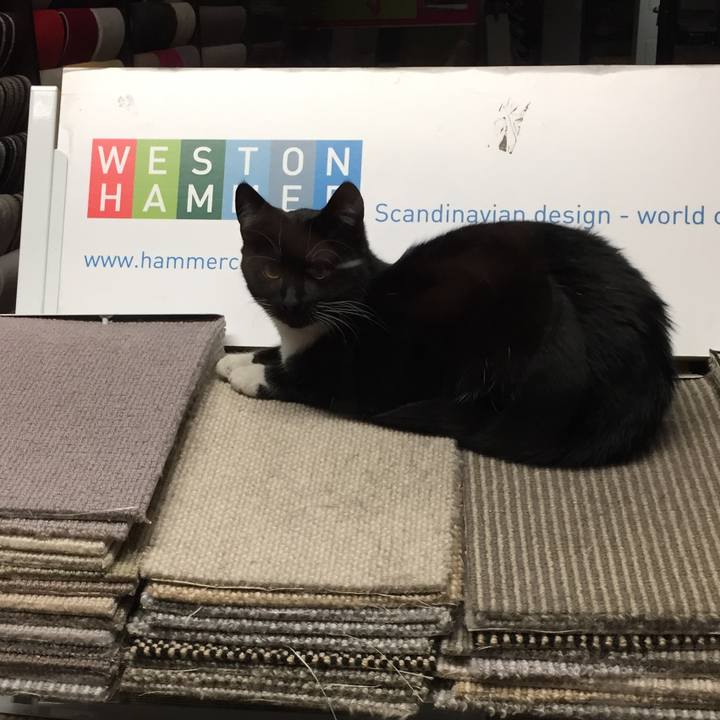 F174ef69 82be 47ee a112 65725eceea79