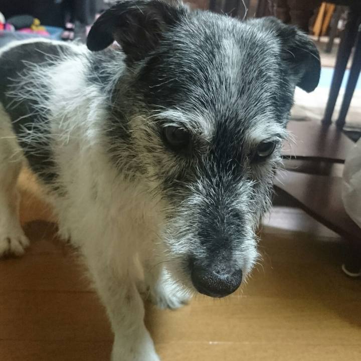 F1753c89 4d59 4682 8635 a165861344fe