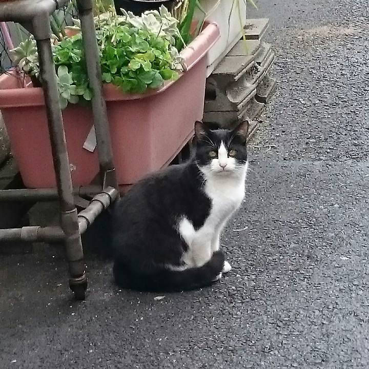 F1755eb6 472a 43eb 8ff0 f5286165436d