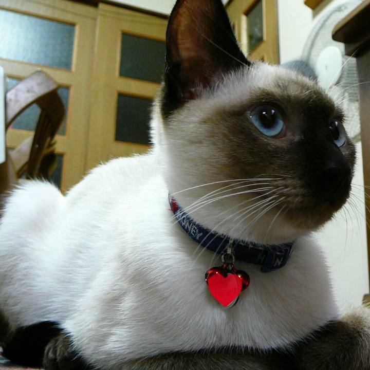 F17592dd 2141 4017 b9c2 6c1d3803a379