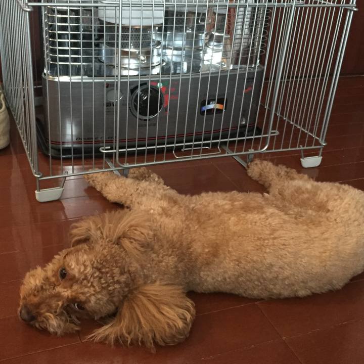 F17621da c8e2 4422 b483 7561ea1c241d