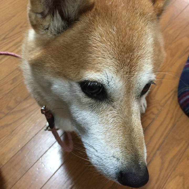 F176225d ef5e 4452 8b2c 4ffb86172663