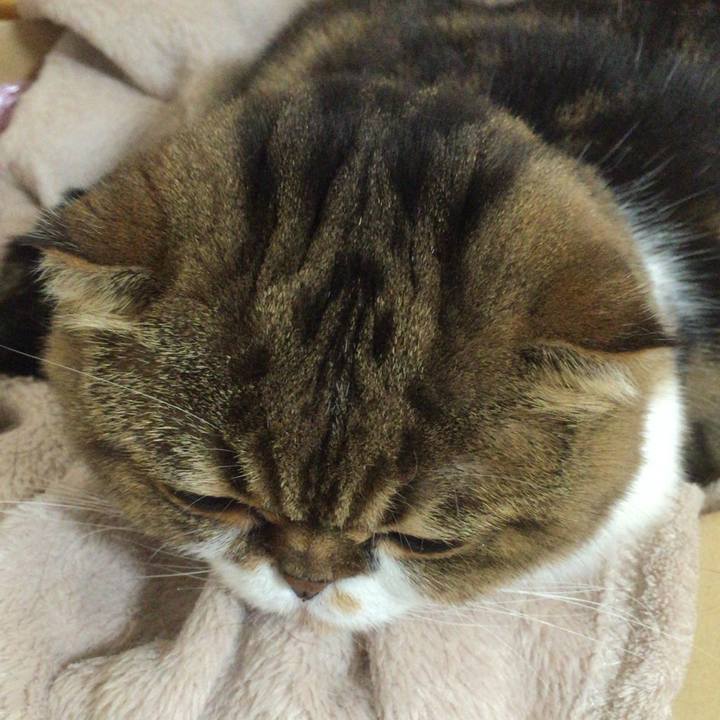 F17631bd 6371 45e7 9023 2d1526e20f25