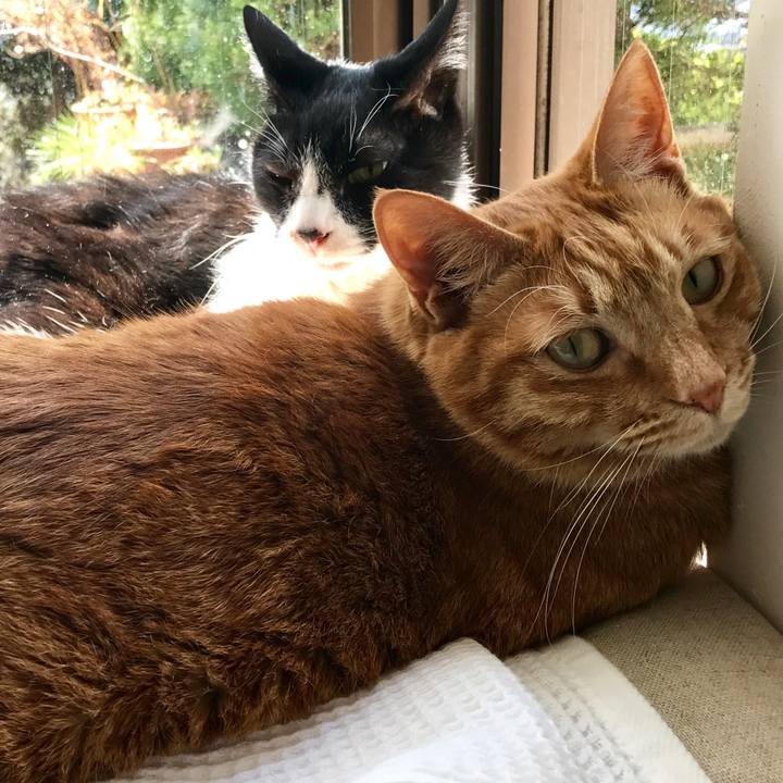 F1763dd5 920b 4235 a809 b933e7c94704