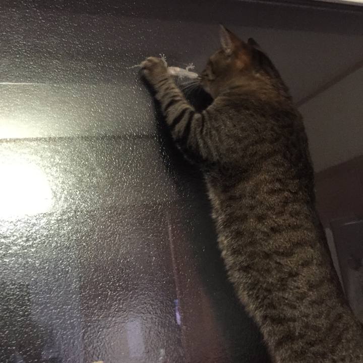 F1768e39 e349 4d0a bff0 53ed2979bd67