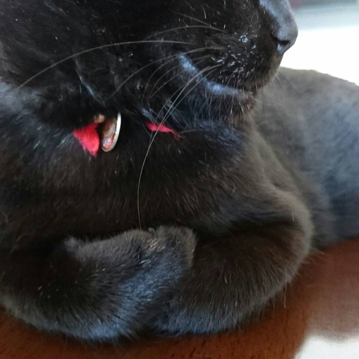 F176a4aa c37b 4ce0 98e8 4ac6729d3be9