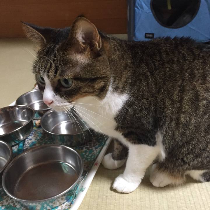 F1770584 34ee 4b96 8f53 69009bee9a41