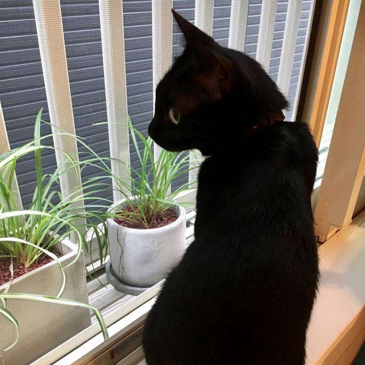 F1782399 7711 4d97 8dfe c73e16bb80c9