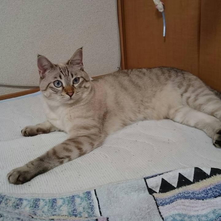 F1782b7e 0eb2 4c72 9f0d 5529771b310b