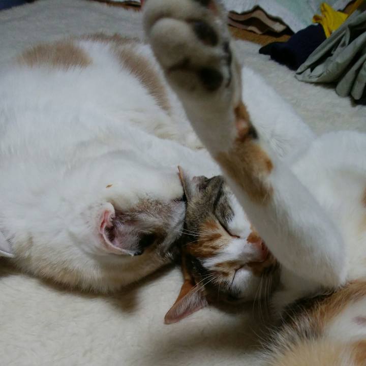 F178a27a 09fa 4c7d b7dd ac5ddb31a533