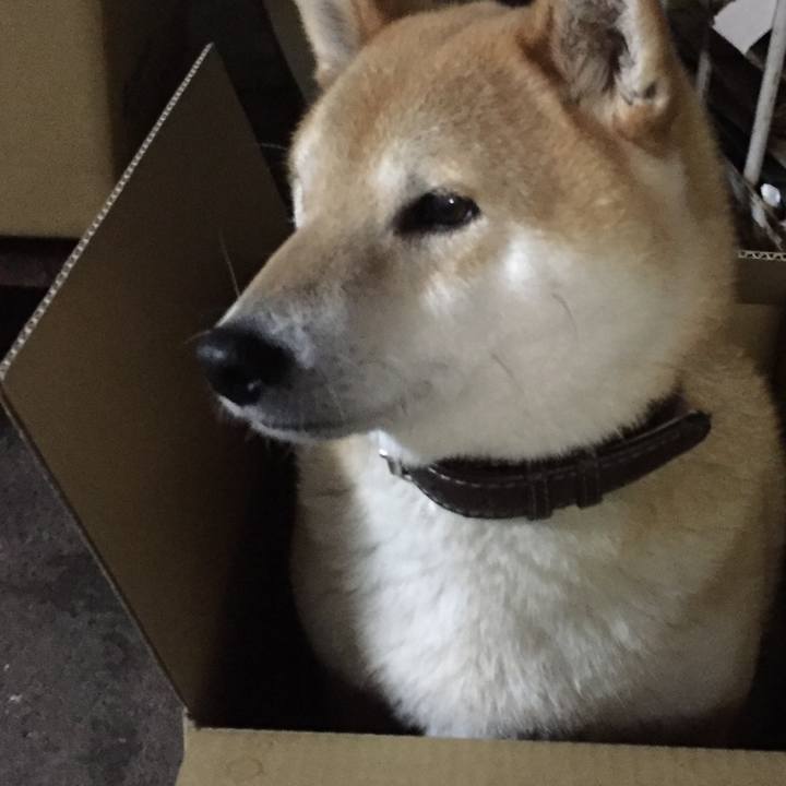 F178dcd2 f494 4855 b041 982a255b8b87