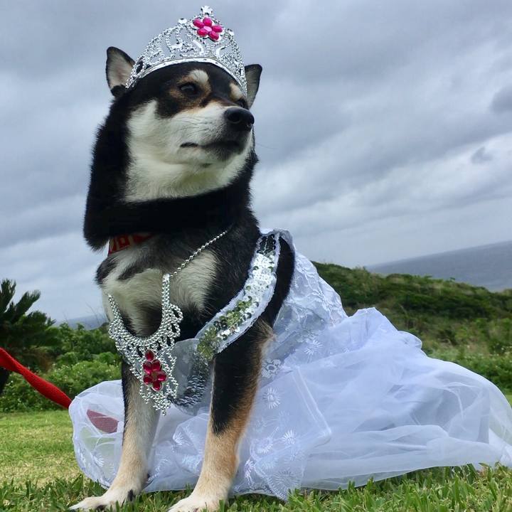 F1790ad3 c930 4179 a1b0 6e3308ca8ee5