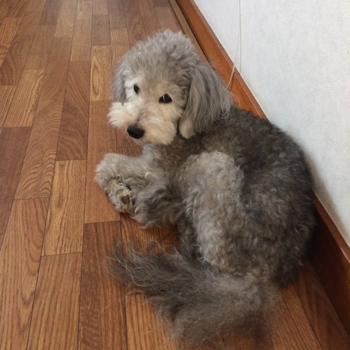 F1797b61 218d 4921 be17 2af47f7e60d3