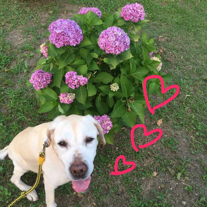 F179816b c0f8 4be5 8751 91d65387fe11