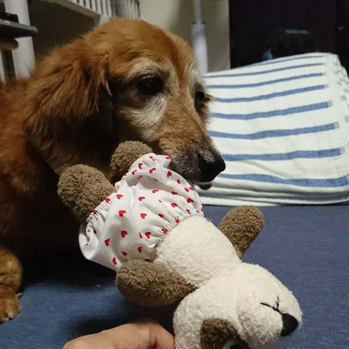 F17a8850 8362 4228 b991 aa33e53a1ae2