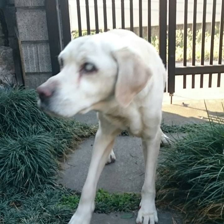 F17b0fb1 1c0f 4357 9eaa fbb68966b06c