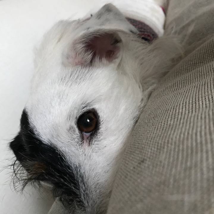 F17b4788 f596 4787 bd51 1f42a8ba44c9