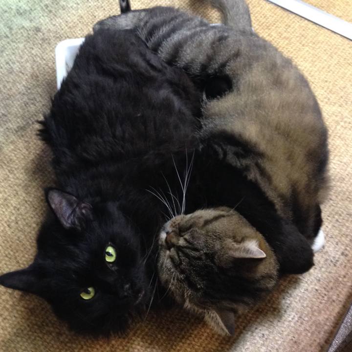 F17b7025 f327 435a 8d88 14f7069bacb2