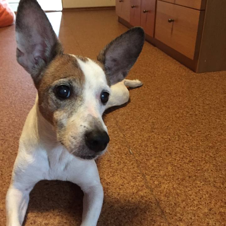 F17b92b0 344a 45fa b3de 0e948d805e40