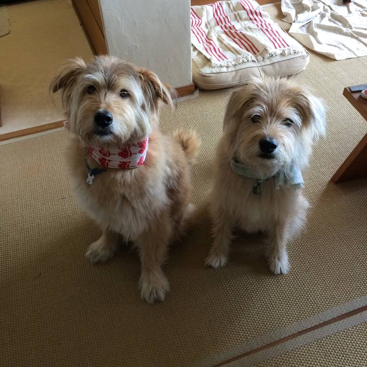 F17c2a90 9eae 40ec ba2d 6001d09534c2