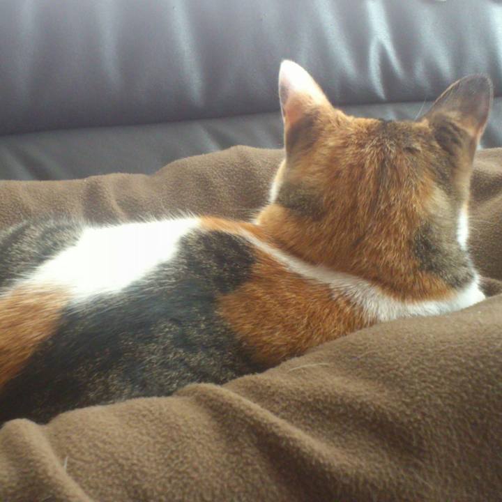 F17c388f 8ba7 4f02 a050 9810938fc0cd