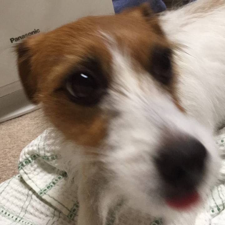 F17c3b55 2072 4f0f 80c6 45f17e541cd1