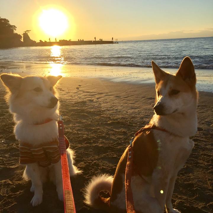 F17ca58a fe48 4181 bc45 1335744f6c20