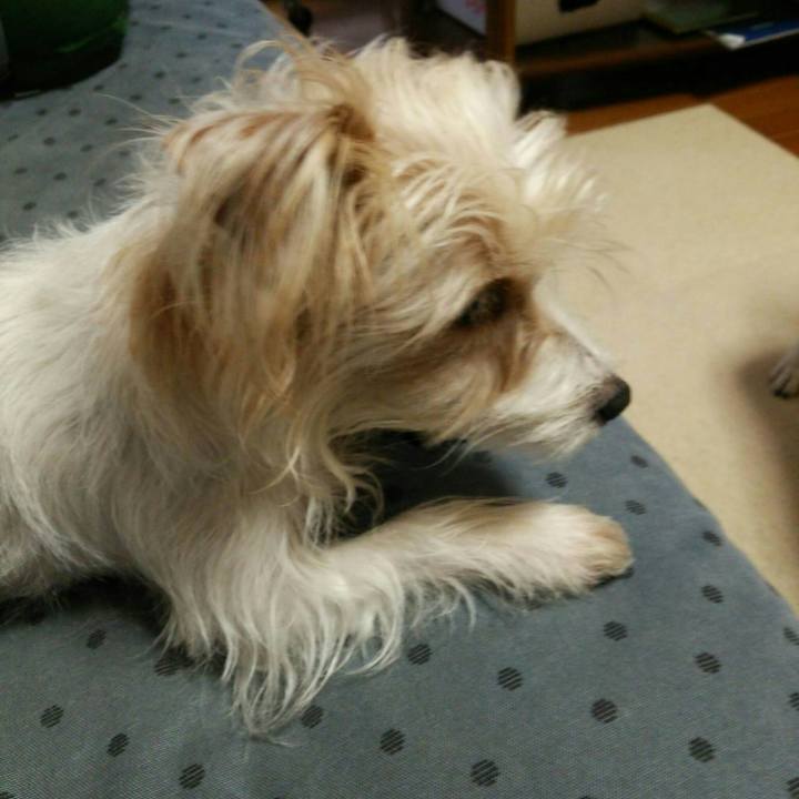 F17cfc33 9d79 43a4 a614 c8f699ae555a