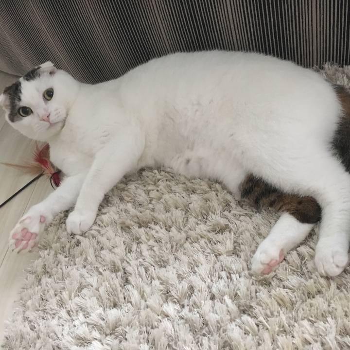 F17d380d f2a7 46be 86be a8eb9e1954f5