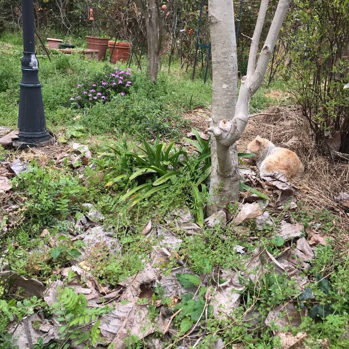 F17d596f caf4 433f bcdb a9614f262e6e