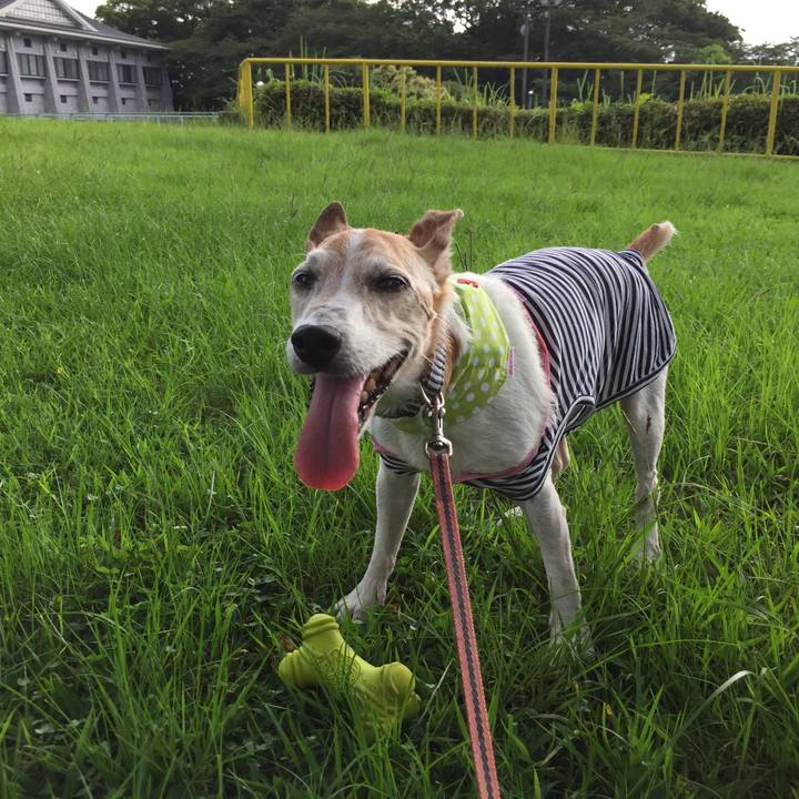 F17d72cc 755e 45e0 a2a7 13b405a5d9e4