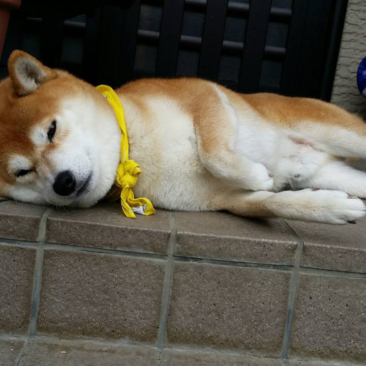 F17e2f40 0225 40c9 a401 b974d8d69ce4