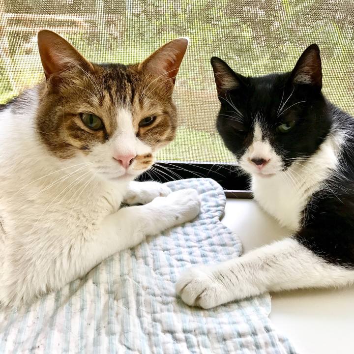 F17e6c3f 6579 407f 95ab 59b2fd2e7bea