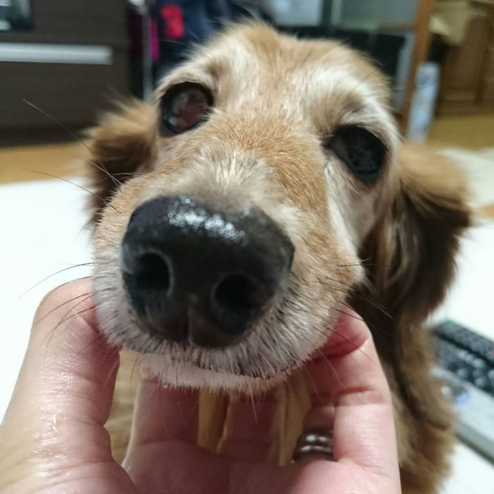 F17eb842 d065 430f b045 d08e345094ff