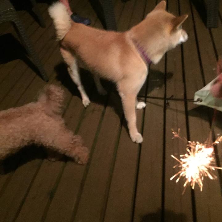 F17ec38a fae6 433d 9f88 1dbdbd3def40