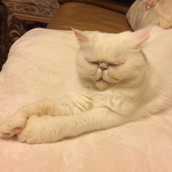 F17f2fac f541 4a51 873a 1c4f682a9ff9