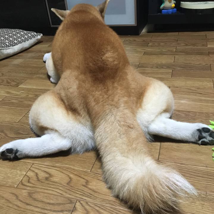 F17f41b4 b786 422d 9817 351ddde92497