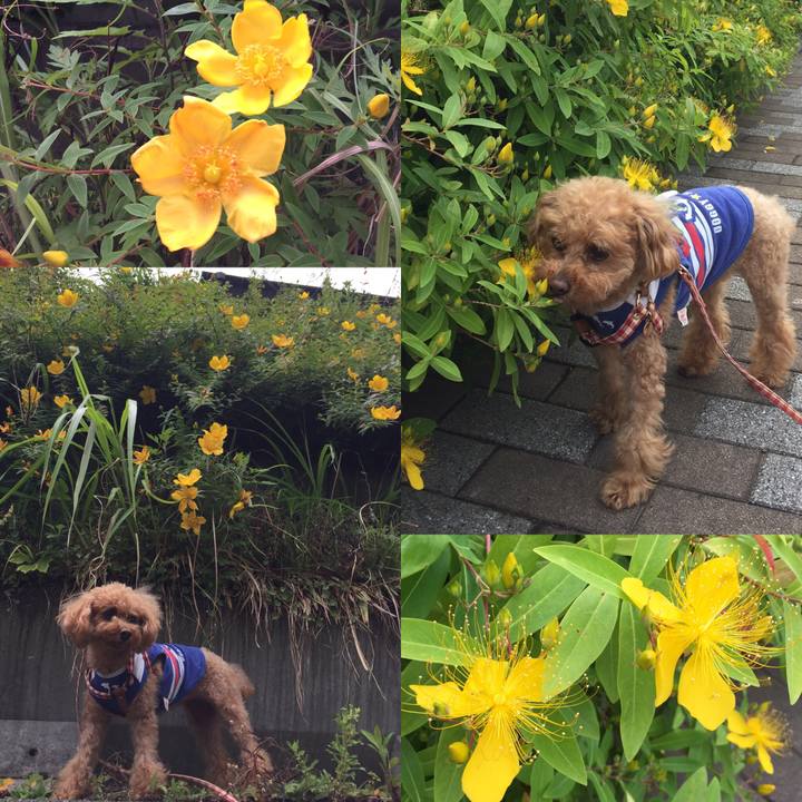 F17f7c1d 702f 42c0 803d 4054c42b06d4