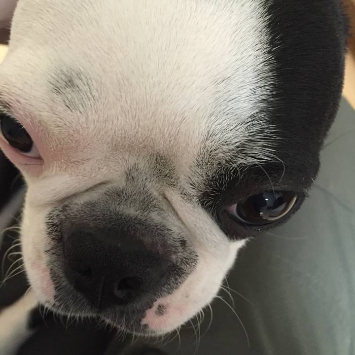 F1800164 7f78 4a49 a58e 9265b4b1c0a4