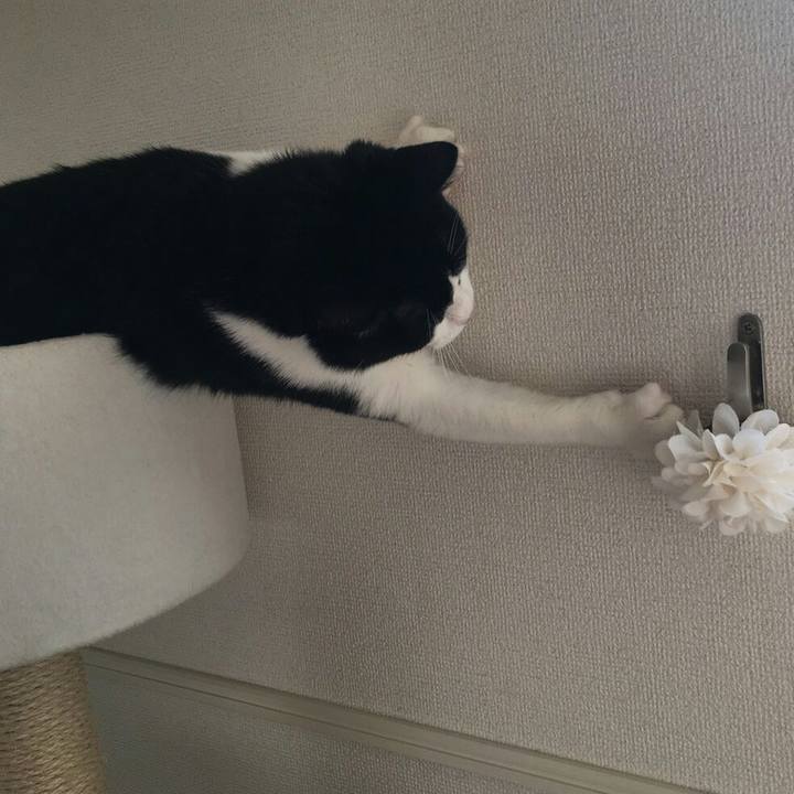 F18099b6 bfbe 464b bbf4 a900ed1eda14