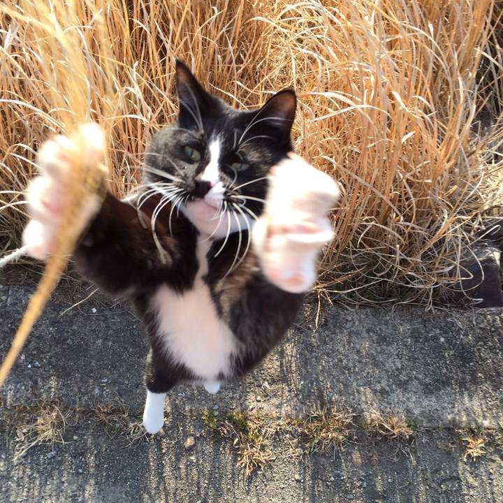 F18135d1 cd5d 4ee4 961d 97b2e331ed19