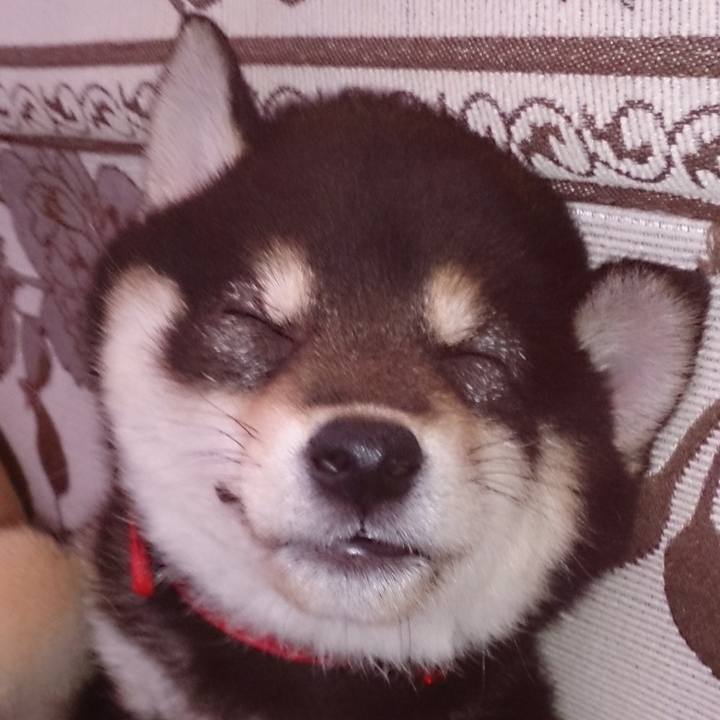 F181ab9c e289 4b5b 9d91 caab7d953b27